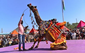 Explore the colourful land of Pushkar fair in Rajasthan